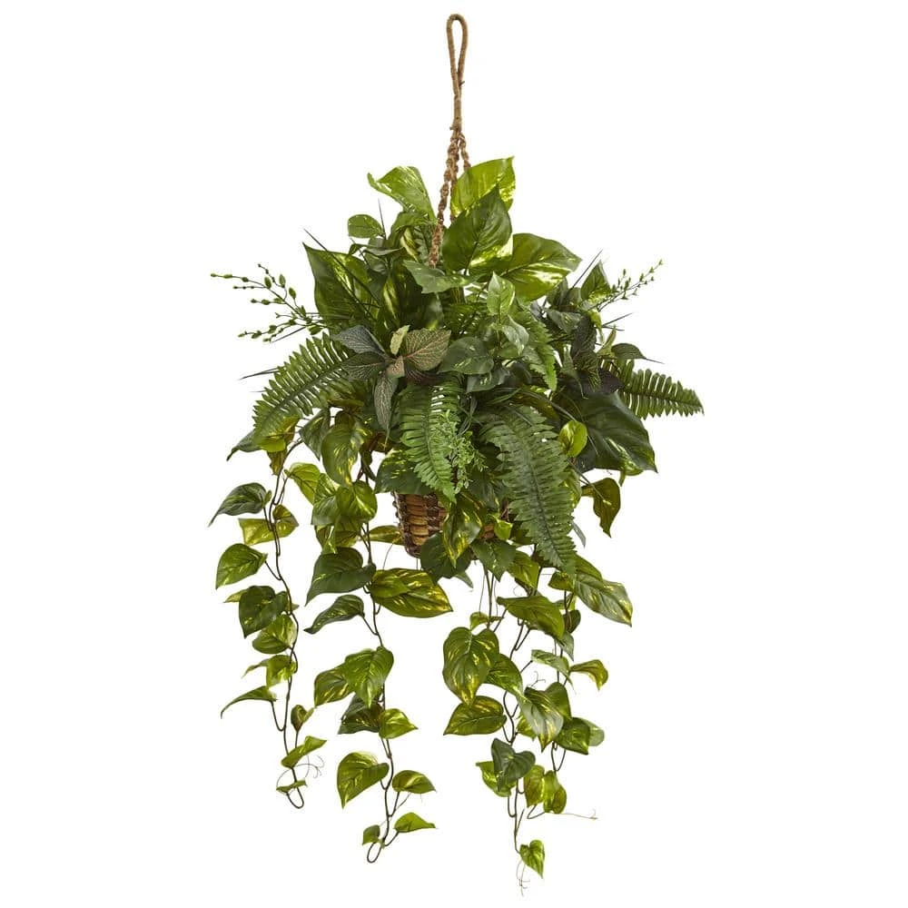 Indoor Mixed Pothos And Boston Artificial Fern In Hanging Basket 3 Indoor Mixed Pothos And Boston Artificial Fern In Hanging Basket